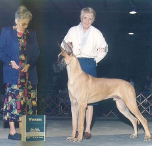 young cruz in the classes