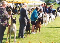 helen showing in the group