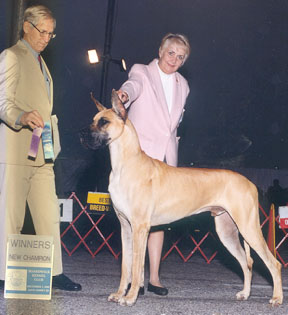 leader finishing at 17 months