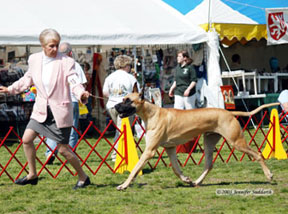 trav & tonie on the move